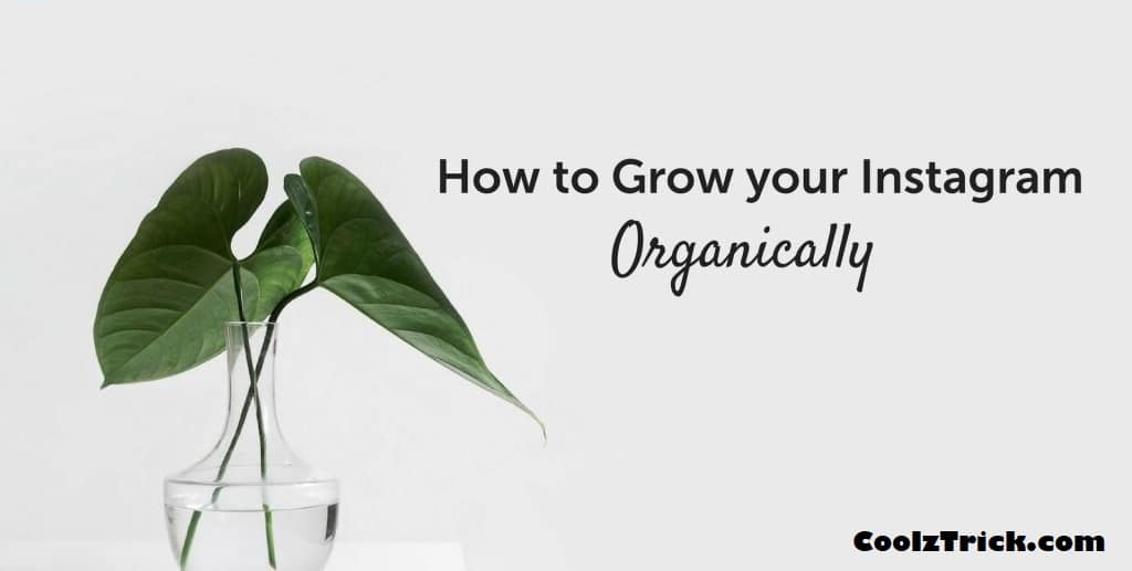 11 Ways To Grow Your Instagram Page Organically – CoolzTrick