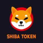 BitBns Shiba Tokens